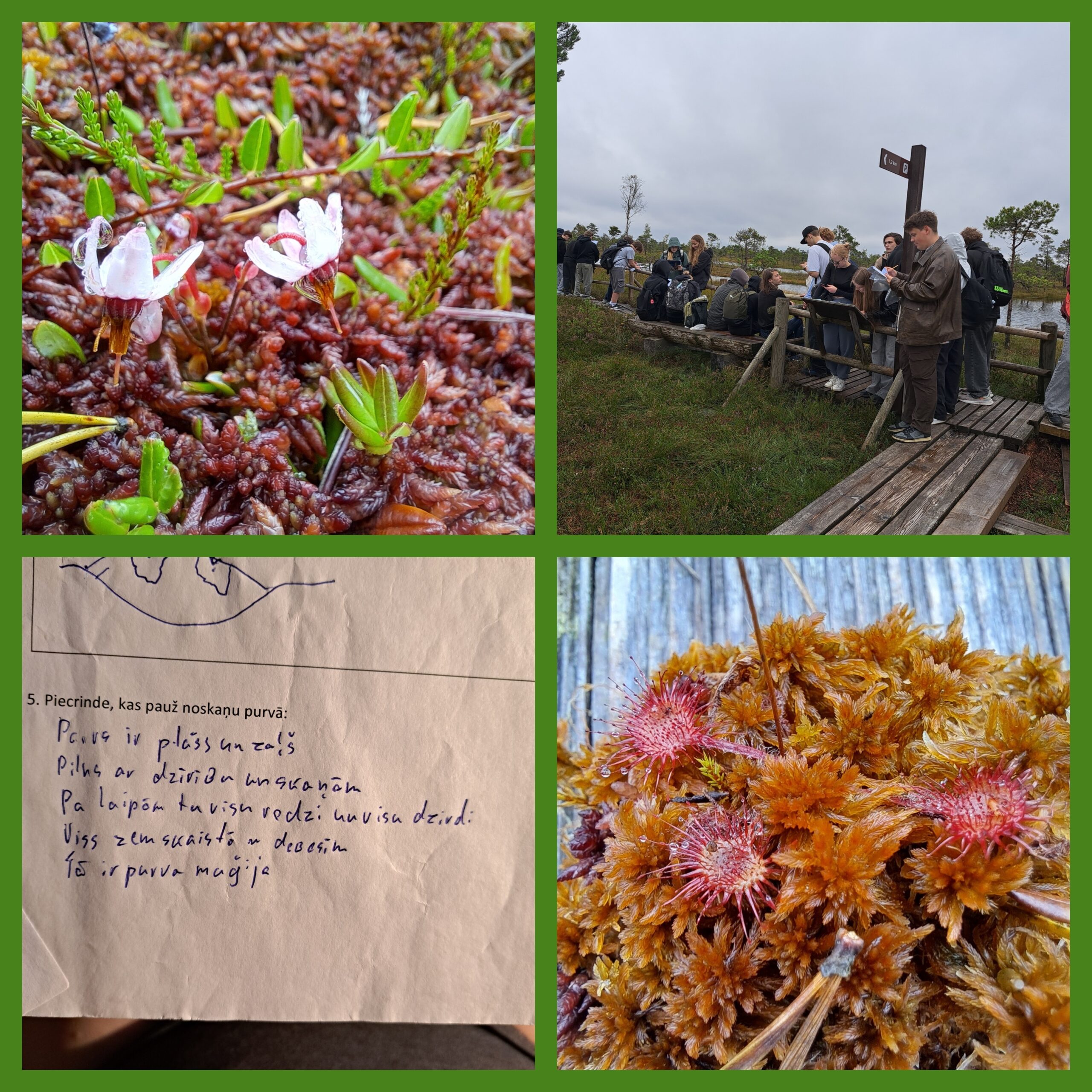 Desmitklasnieki pēta purva ekosistēmu