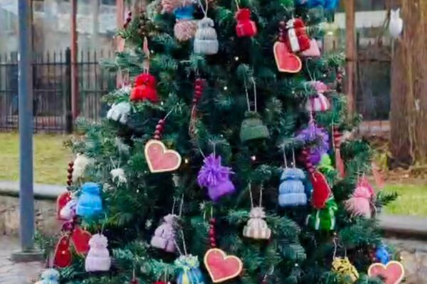 Ziemassvētku brīnums “Eglīšu promenādē” Majoros!