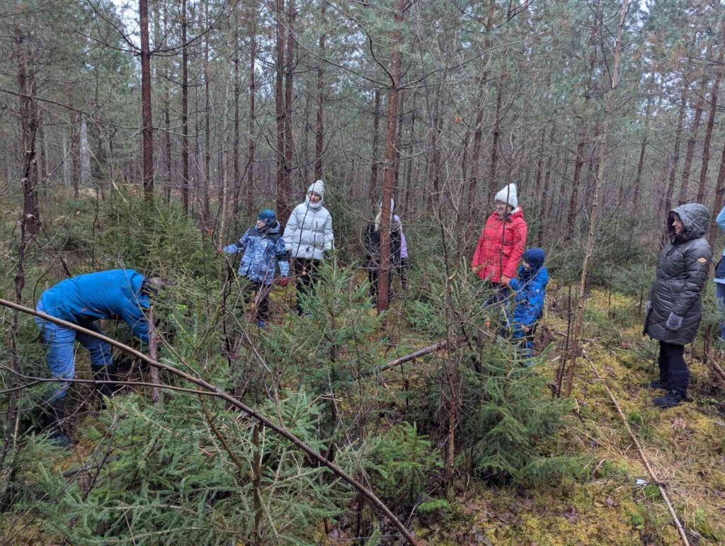 Eglītes meklējumos