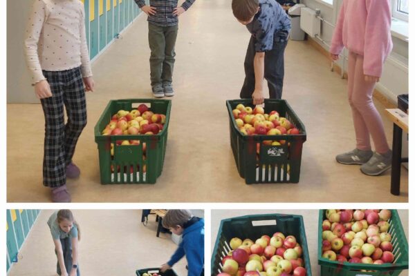 Tā mēs mācāmies! Tā mēs mācāmies!